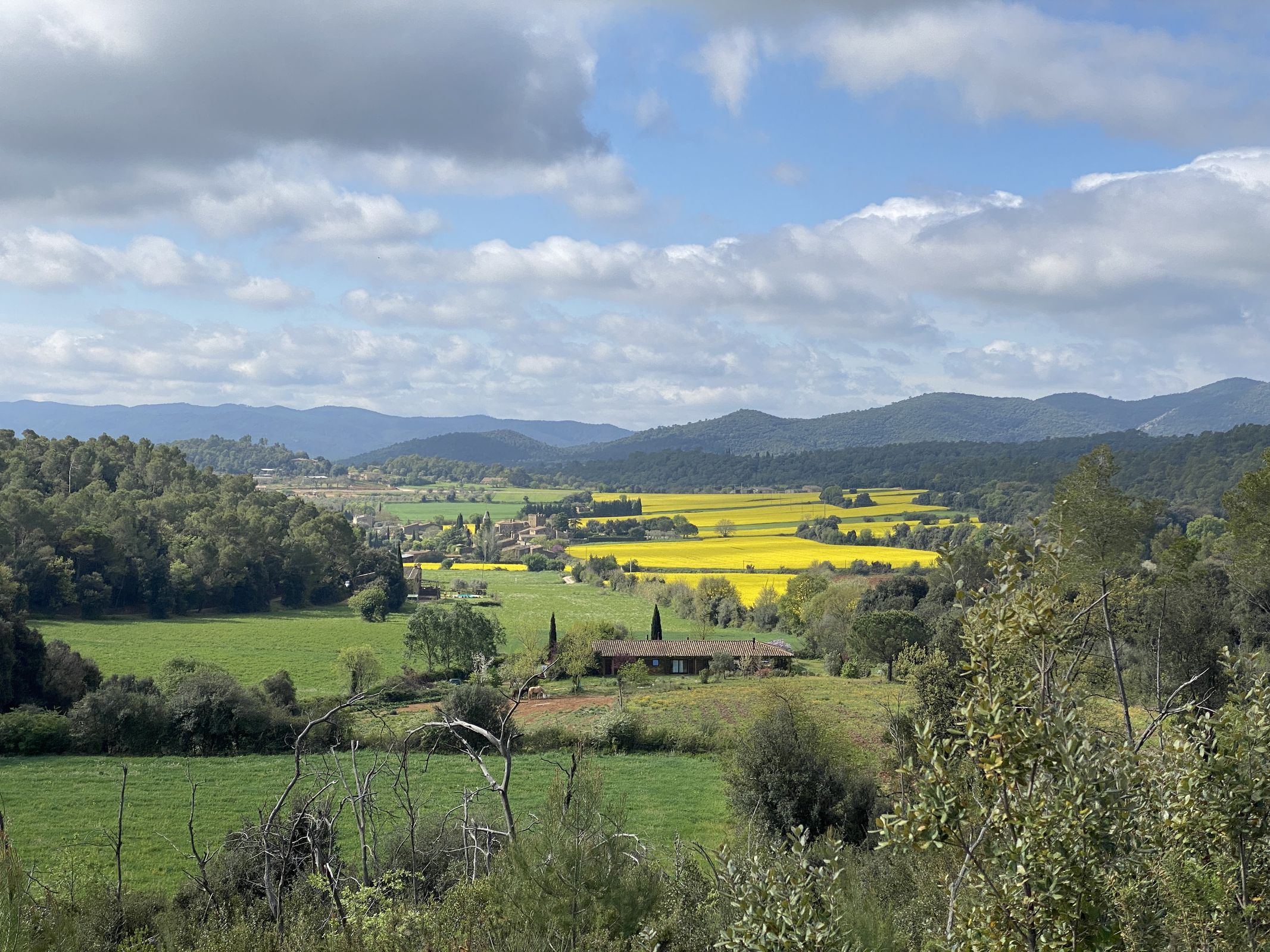emporda monnels 3069