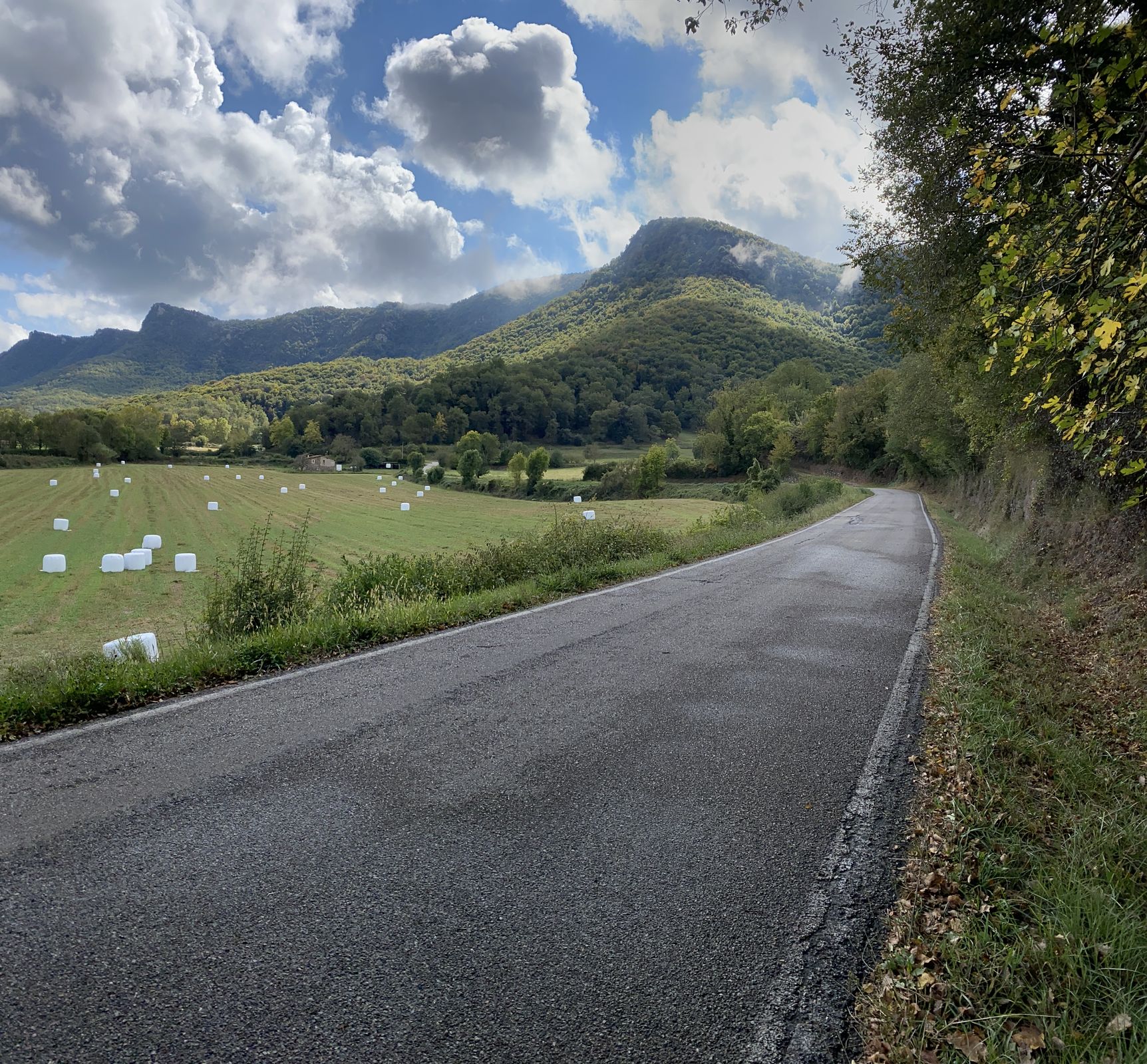 la garrotxa road 2 3069